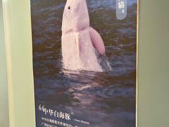 -天津自然博物馆