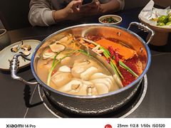 -季季山·云南野生菌火锅(上海首店)