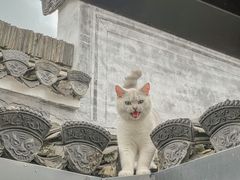 -西溪南古村落