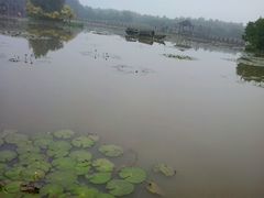 -大湾区中央湿地公园
