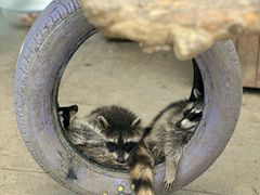 -合肥滨湖国家森林公园