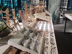 -Trend1881视光·蔡司视觉(领展广场店)
