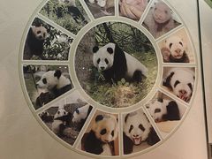 -深圳博物馆历史民俗馆