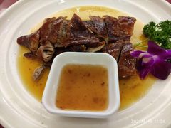 -金龙渔港(双楠店)