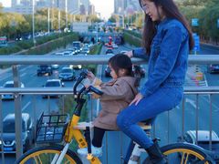 -三里屯东五街银杏大道
