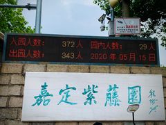 -嘉定紫藤园