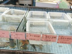 -诚园新喜洋餐厅