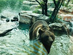 -北京野生动物园