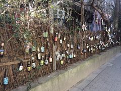 -随柳居·苏式小吃(建新巷店)