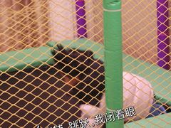 -同里湖度假村(二期店)
