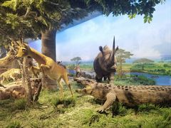 -国家自然博物馆