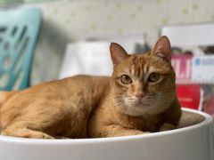 -荔康动物医院(康王北路店)