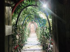 -大塘金香草谷