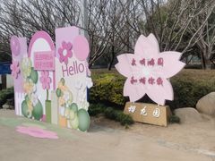-高东镇樱花园