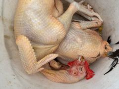 -马陆小张葡萄园农家乐