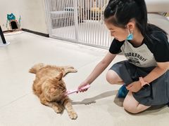 -藏猫猫咖啡主题馆(中央大道店)