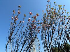 -观澜湖生态运动公社