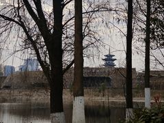 -洋湖国家湿地公园