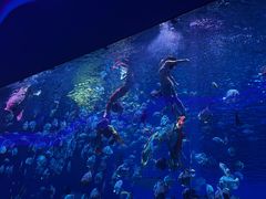-石家庄极地海洋世界