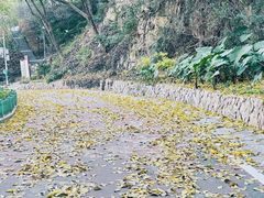 -金鸡山公园