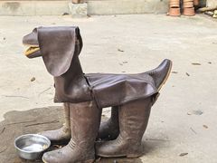 -大象粑粑造纸公园