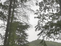 -习家池