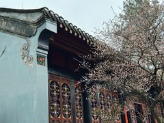 -青羊宫