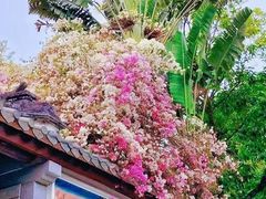 -深圳国际园林花卉博览园