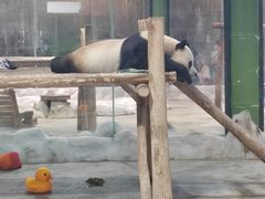 -栾川竹海野生动物园