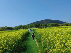 -苏州太湖西山岛开心农场
