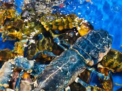 -盒马鲜生(顺义店)