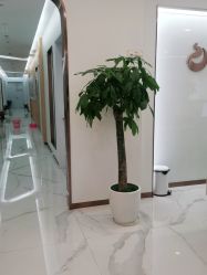-南京康美美容医院·旗舰店