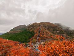 -狼牙山风景区