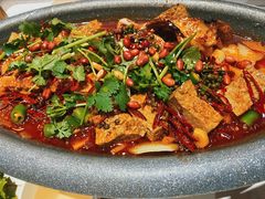 -哈力家·西北烧烤烤串(凤城三路店)