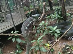 -卡塞拉自然公园