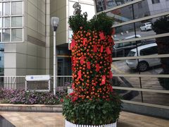 -深圳观澜格兰云天国际酒店