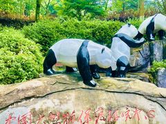 -都江堰中华大熊猫苑