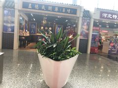 -石家庄正定国际机场-T2航站楼