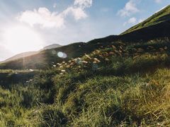 -嵛山岛