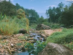 景点-福清灵石山国家森林公园