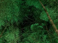 -天目湖御水温泉·度假酒店