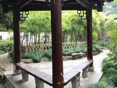 -杭州黄龙洞