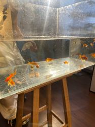 -WAVE SODA摄影工作室