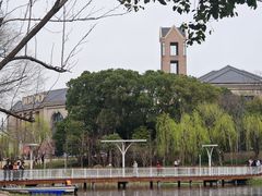 -新江湾城公园