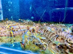 -吕氏疙瘩汤·私家菜馆(慈云寺店)