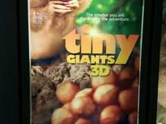 -广东科学中心科技影院