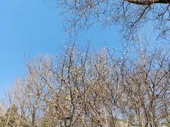 -玲珑塔公园