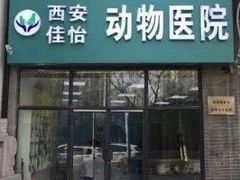 -佳怡动物医院·平价24小时·猫专科骨外科
