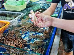 -鸿港海鲜批发市场