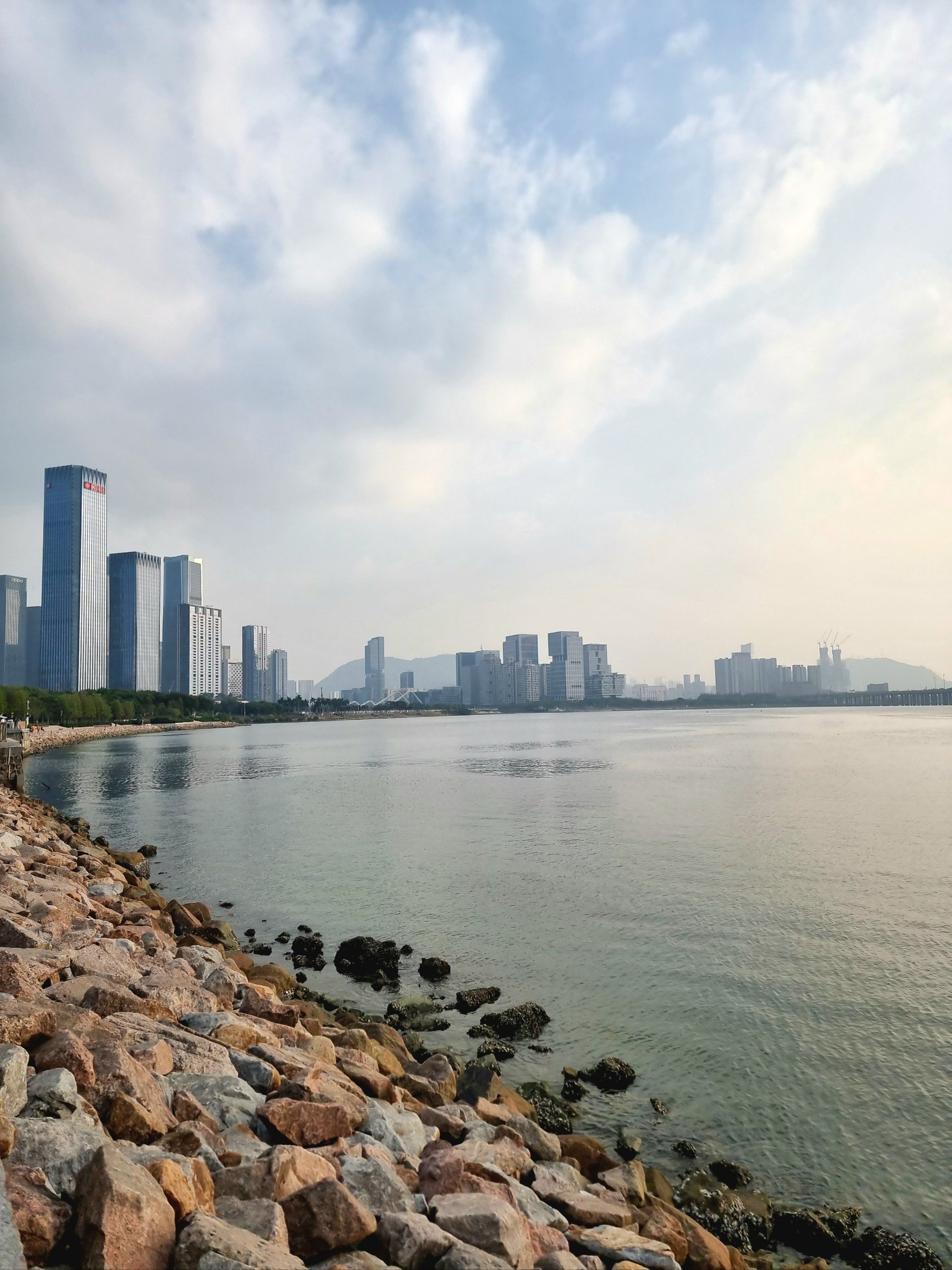 深圳湾公园